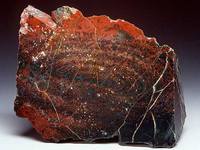 Происхождение названия кровавика